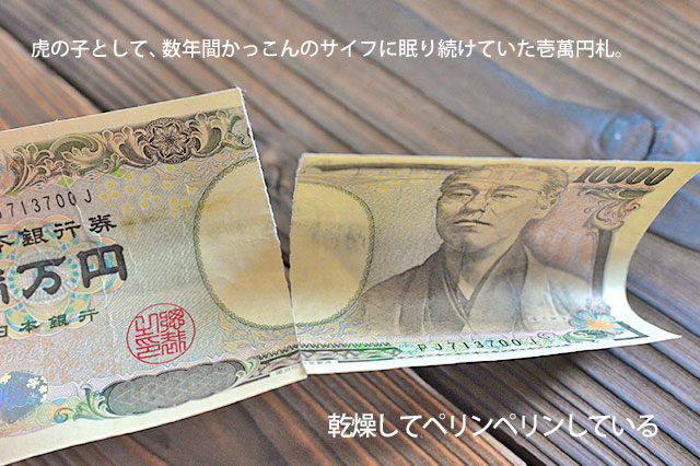 初体験 破れた一万円札ってどうするの 銀行で交換してきた 半額 無効パターン紹介 損傷現金 Kakkon Net
